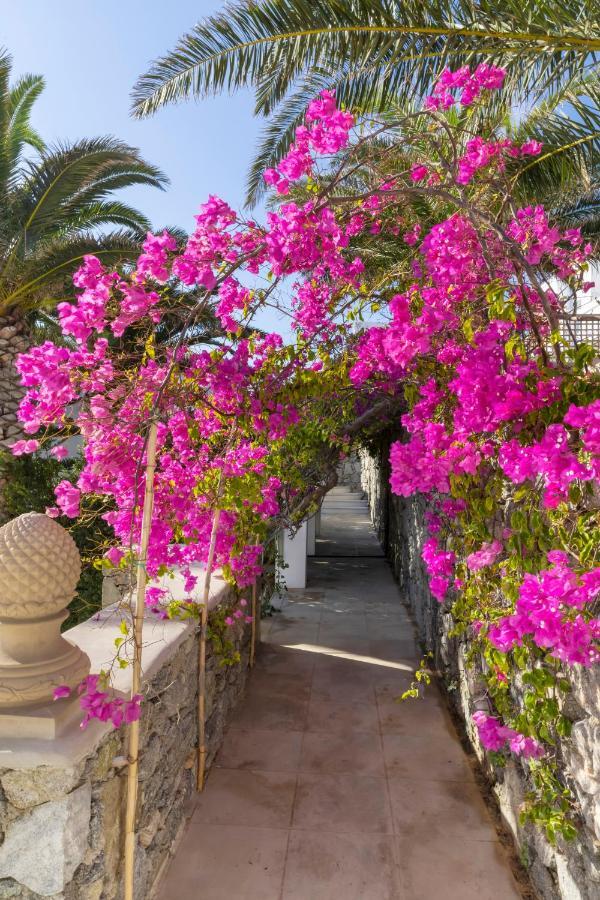 Dorion 4* Ornos (Mykonos)